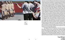 A Brief History of Protest Art by Aindrea Emelife Paperback Book