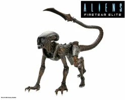 Aliens: Fireteam Elite - Runner Alien 7" Scale Action Figure