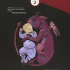 Babyteeth - Volume 02 Trade Paperback