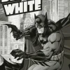 Batman - Black and White Volume 01 Trade Paperback