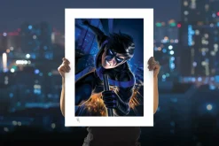 Batman - Nightwing Fine Art Print by Warren Louw