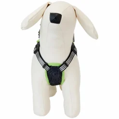 Beetlejuice - Cosplay Mini Backpack Dog Harness (Small)