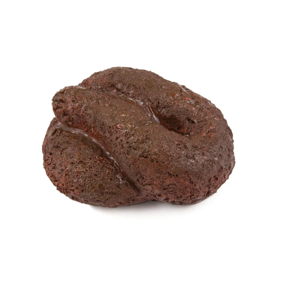 BigMouth Inc. - Buster's Dog Poop Hide-A-Key