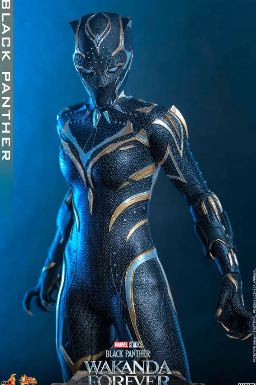 Black Panther 2: Wakanda Forever - Black Panther 1/6th Scale Action Figure