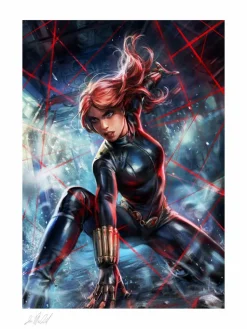 Black Widow - Black Widow Fine Art Print by Ian MacDonald