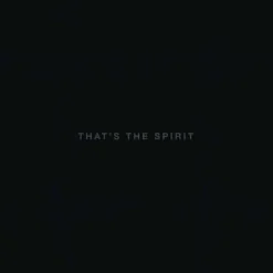 Bring Me The Horizon - That's The Spirit LP Vinyl Record