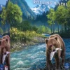 Cascadia - Rolling Rivers Board Game