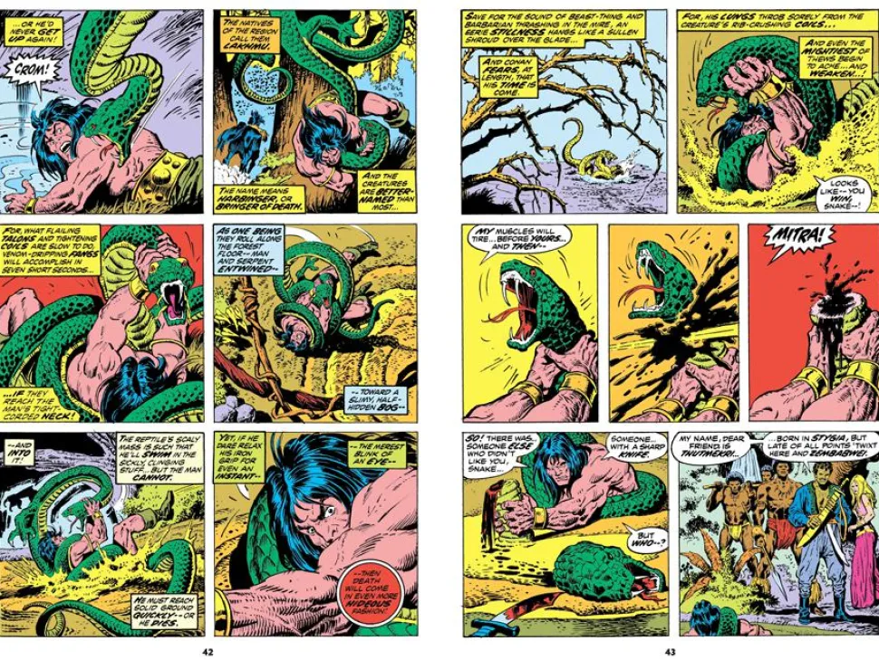 Conan the Barbarian - The Original Comics Omnibus Volume 02 Hardcover Book