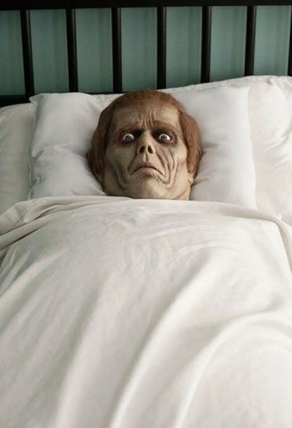 Dawn of the Dead - Roger Pillow Pal Prop Replica