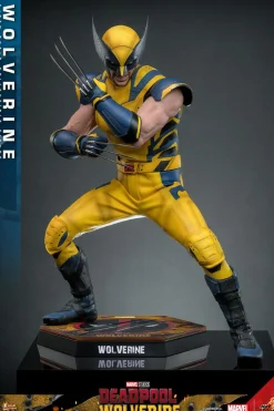 Deadpool & Wolverine (2024) - Wolverine 1/6th Scale Hot Toys Action Figure