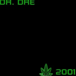 Dr. Dre - 2001 2xLP Vinyl Record