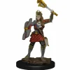 Dungeons & Dragons - Premium Human Cleric Female Miniature