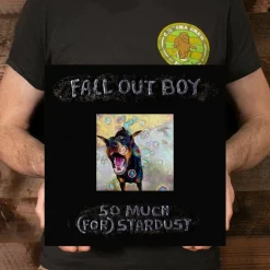 Fall Out Boy - So Much (For) Stardust LP Vinyl Record