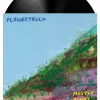 Flowertruck - Mostly Sunny LP Vinyl Record