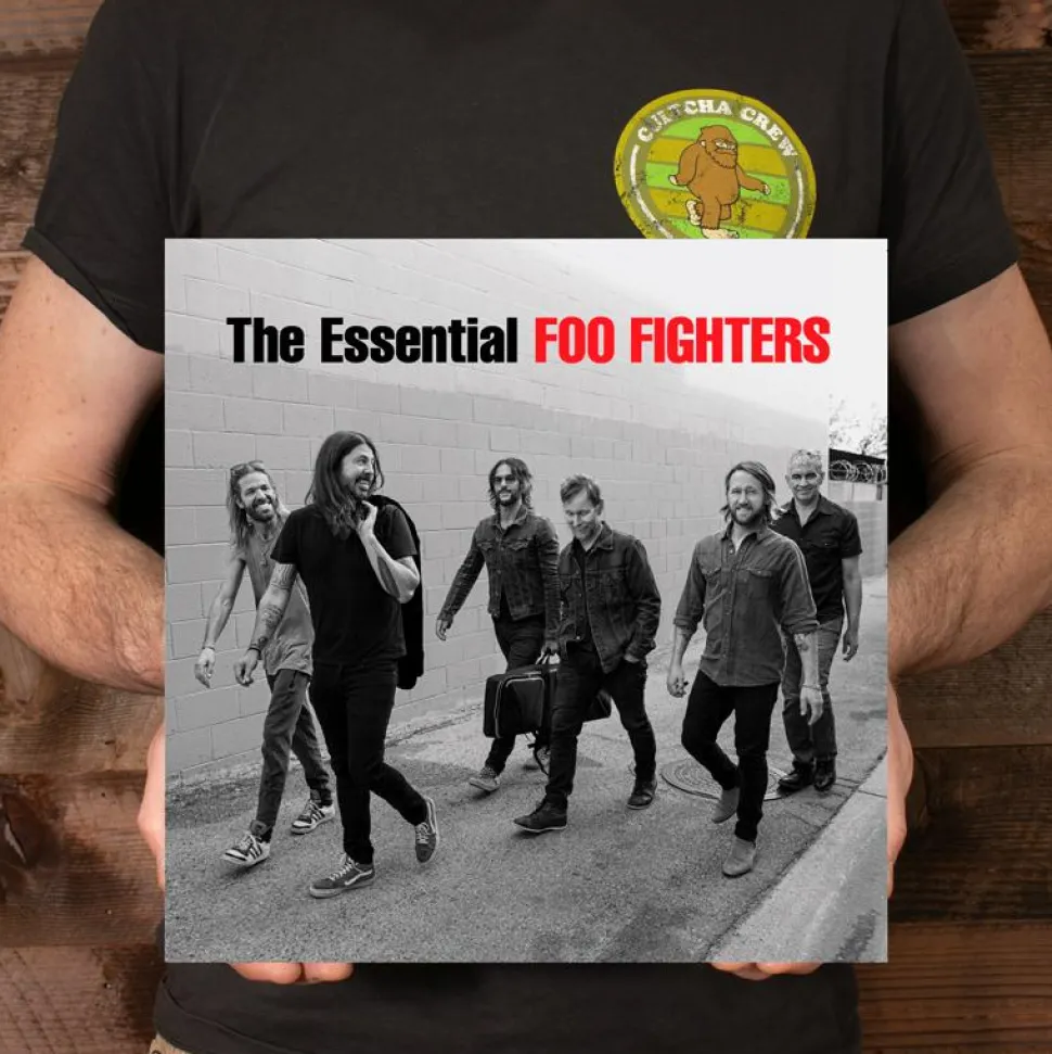 Foo Fighters - The Essential Foo Fighters 2xLP Vinyl Record
