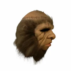 Hammer Horror - Frankenstein and the Monster From Hell Deluxe Adult Mask