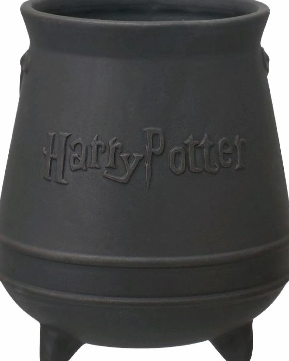 Harry Potter - Cauldron 3D Mug