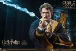 Harry Potter - Cedric Diggory Deluxe 1/6th Scale Action Figure
