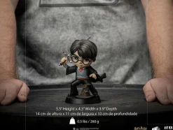 Harry Potter - Harry Potter with Sword of Gryffindor MiniCo 6” Vinyl Figure