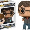 Harry Potter - Harry Potter with Prophecy Pop! Vinyl Figure