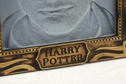 Harry Potter - Harry Potter Holopane Mood Lamp