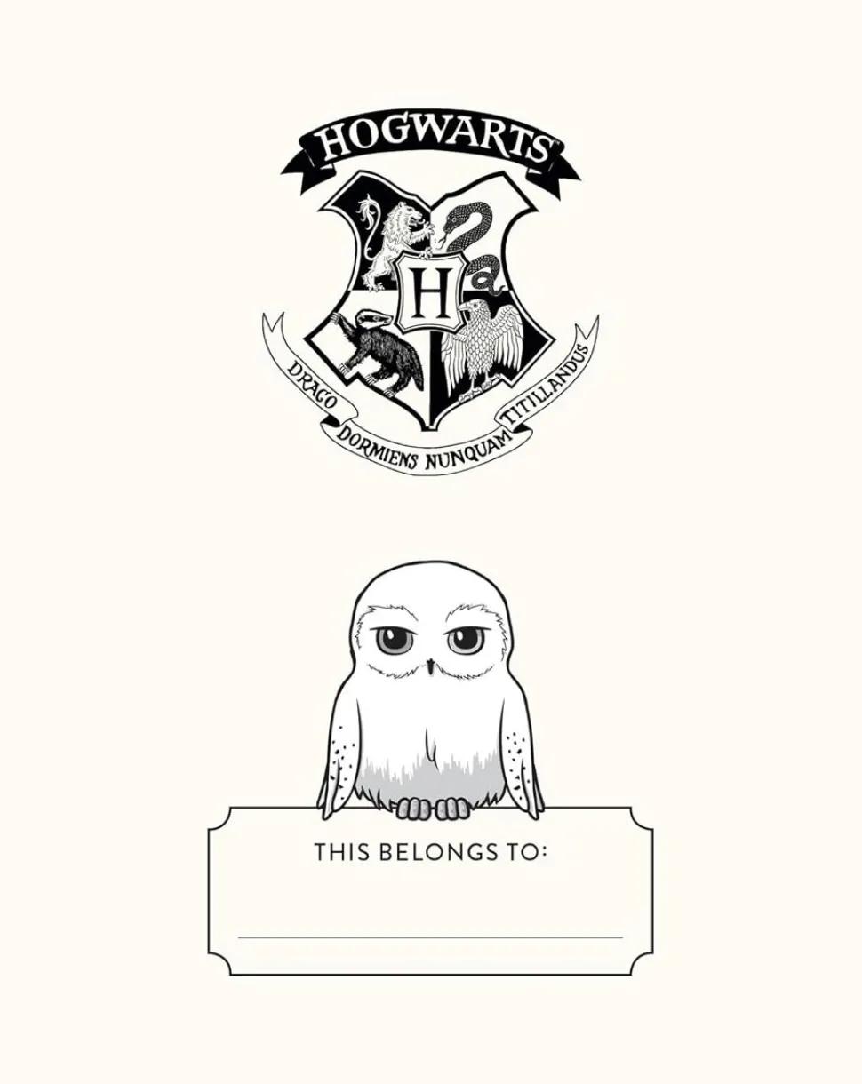 Harry Potter - Hedwig Squishy Lock & Key Ruled Diary