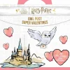 Harry Potter - Owl Post Super Valentine's Day Card Box Set