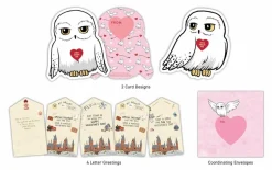 Harry Potter - Owl Post Super Valentine's Day Card Box Set