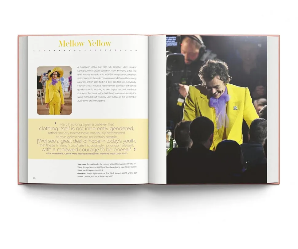 Harry Styles - Harry Styles and the Clothes He Wears Hardcover Book