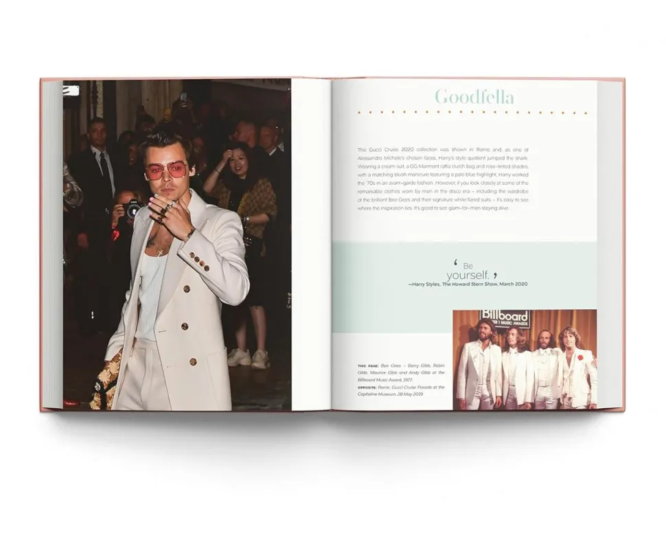 Harry Styles - Harry Styles and the Clothes He Wears Hardcover Book