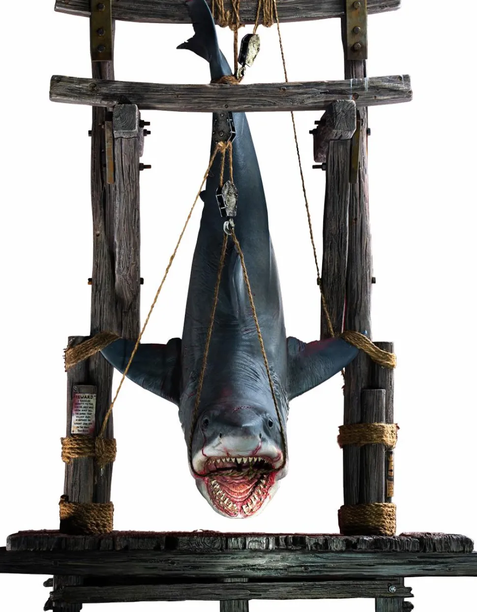 Jaws - Hanging Shark 1/12th Scale Maquette Statue