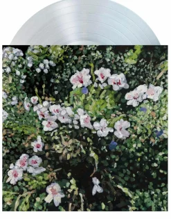 Jess Locke - Don’t Ask Yourself Why LP Vinyl Record (Transparent Clear Vinyl)