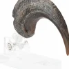 Jurassic Park - Screen Used Velociraptor Foot Claw Reproduction 1:1 Scale Life-Size Prop Replica