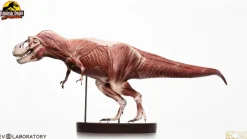 Jurassic Park - T-Rex Anatomy 1/12th Scale Maquette Statue