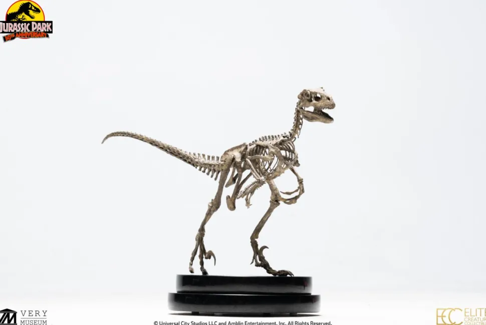 Jurassic Park - Velociraptor Skeleton Bronze 1/8th Scale Statue