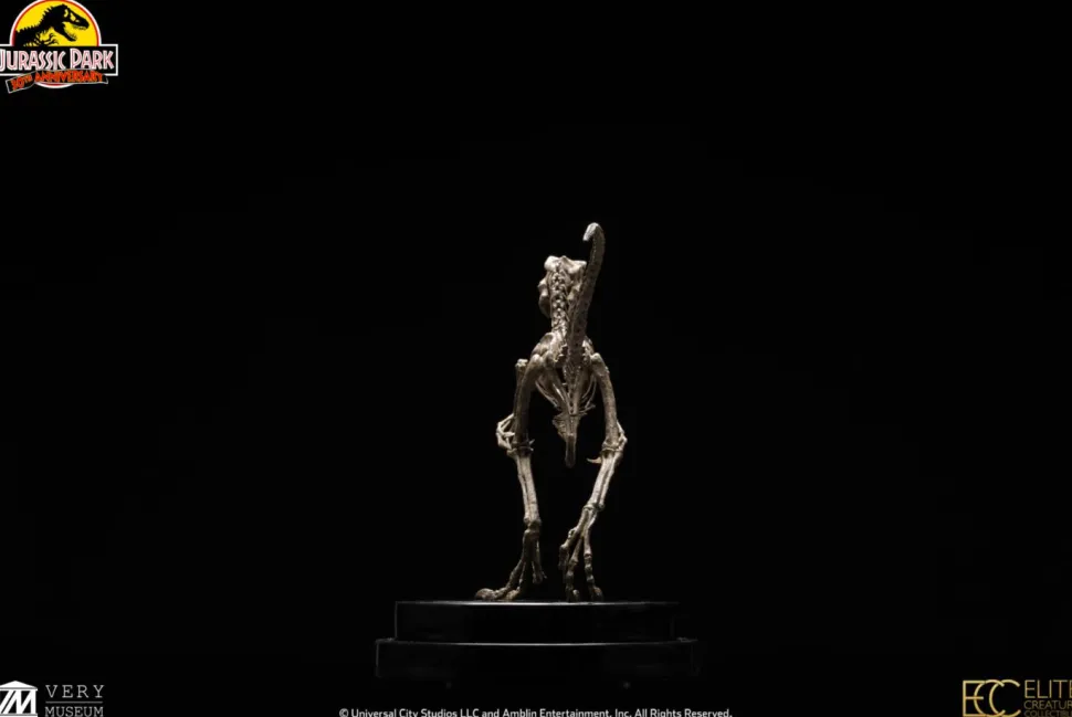 Jurassic Park - Velociraptor Skeleton Bronze 1/8th Scale Statue