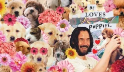 Keanu Reeves - Keanu Forever: 50 Reasons Your Internet Boyfriend Keanu Reeves is Perfection Hardcover Book