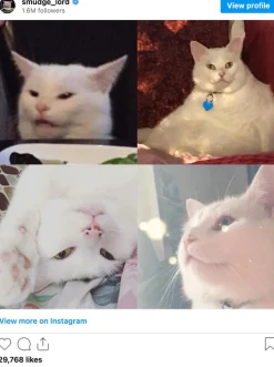 Meme - Smudgelord 9