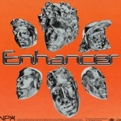 Northeast Party House - Enhancer LP Vinyl Record