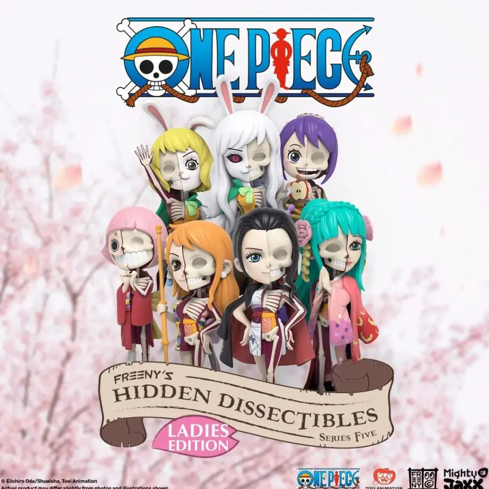 One Piece - Freeny's Hidden Dissectibles Series 05 Ladies Edition Blind Box Vinyl Figure (Single Unit)
