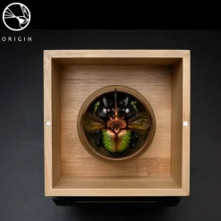 Origin - Lepidoptera Sheng Collection Replica Set by David Zhou (Set of 5)