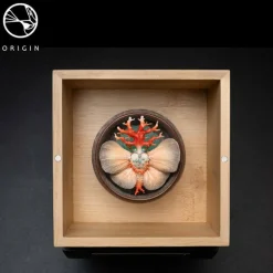 Origin - Lepidoptera Sheng Collection Replica Set by David Zhou (Set of 5)