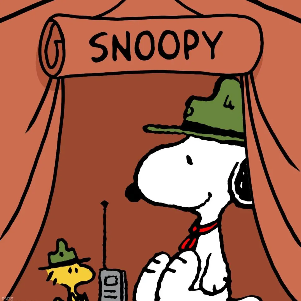 Peanuts - Beagle Scout Snoopy & Woodstock Supersize 13" Vinyl Figure 2-Pack