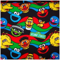 Sesame Street - Neighborhood Friends 12