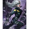 Spider-Man - Black Cat Premium Art Print by Alex Pascenko
