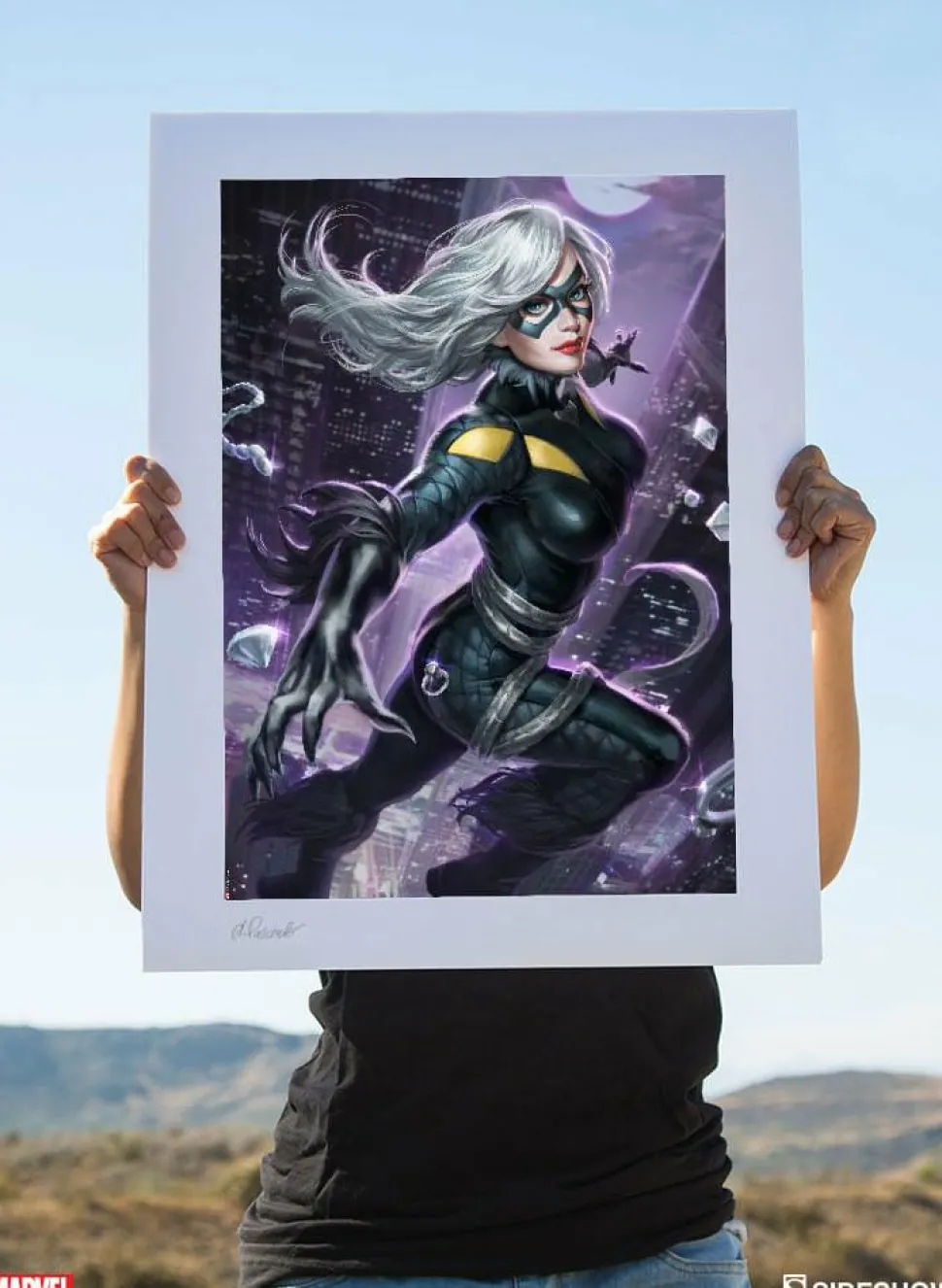 Spider-Man - Black Cat Premium Art Print by Alex Pascenko