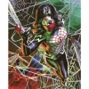 Spider-Man - Silk #5 Fine Art Print by Felipe Massafera
