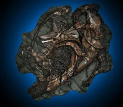 Stargate - Fossil 1/2 Scale Replica