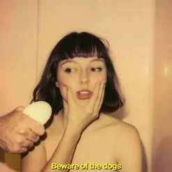 Stella Donnelly - Beware of the Dogs LP Vinyl Record