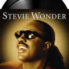 Stevie Wonder - The Definitive Collection 2xLP Vinyl Record